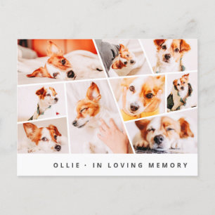 Carte Postale Pet Memorial Modern Simple Chic 9 Photos Collage