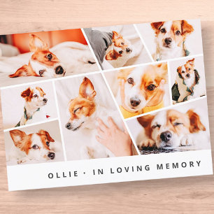 Carte Postale Pet Memorial Modern Simple Chic 9 Photos Collage