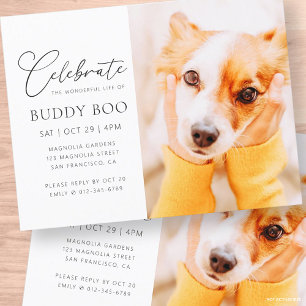 Carte Postale Pet Memorial Moderne Simple Minimaliste Chic Photo