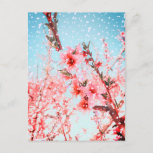 Carte Postale Pétales volants et fleurs roses (ou neige ?)