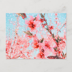 Carte Postale Pétales volants et fleurs roses (ou neige ?)