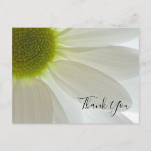 Carte Postale Petals White Daisy Merci Note