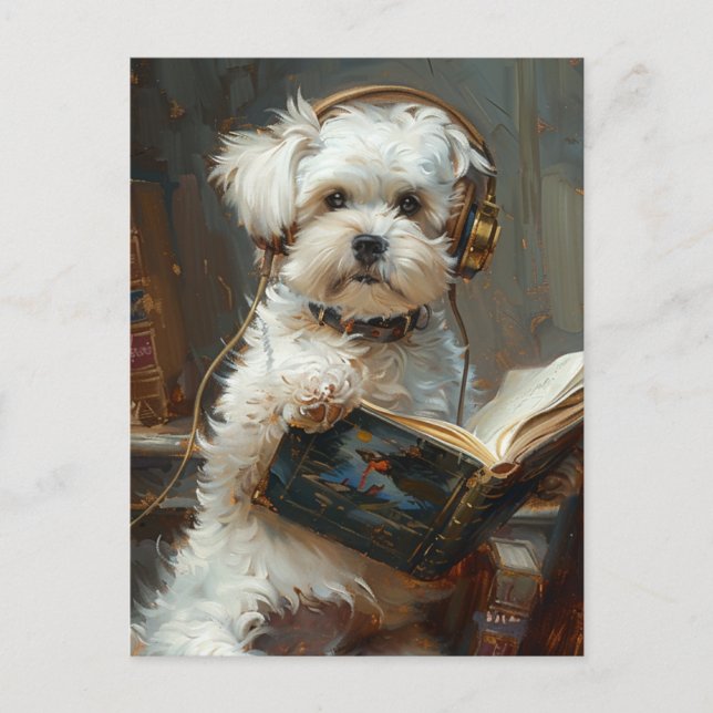 Carte Postale Petit Chien Mignonne Lire Un Livre (Devant)