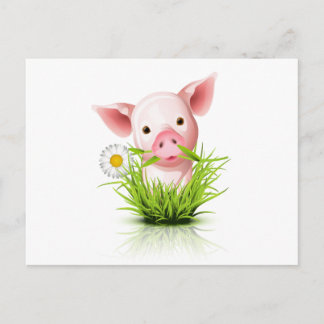 Carte Postale Petit cochon rose dans l'herbe