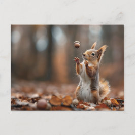 Carte Postale Petit écureuil mignon attrapant une glande
