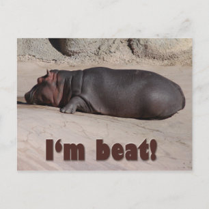 Carte Postale Petit Hippo dit tout