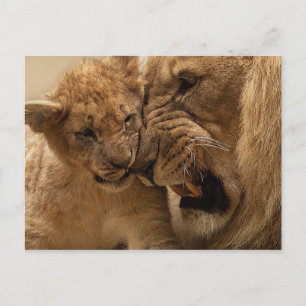 Carte Postale Petit lion avec papa