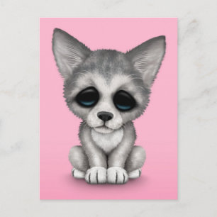Carte Postale Petit loup gris pâle chiot sur rose