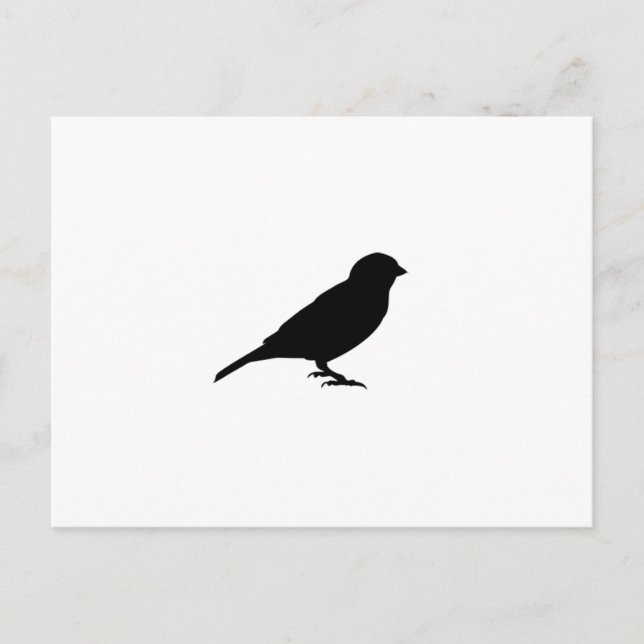 CARTE POSTALE PETIT OISEAU (Devant)