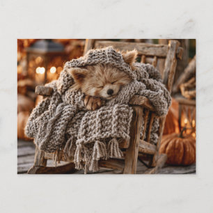 Carte Postale Petit panda roux mignon endormi dans une miniature