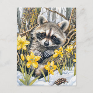 Carte Postale Petit Raton laveur parmi les chênes printaniers