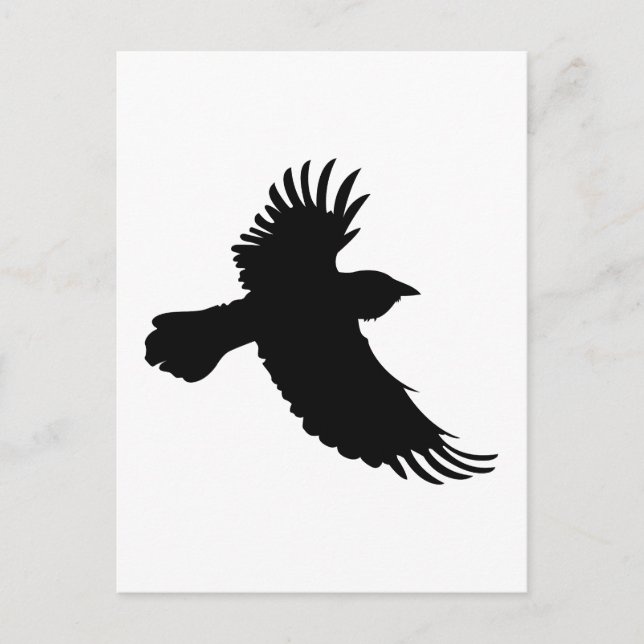 CARTE POSTALE PETIT RAVEN (Devant)
