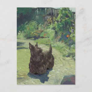 Carte Postale Petit Scottie dans le jardin