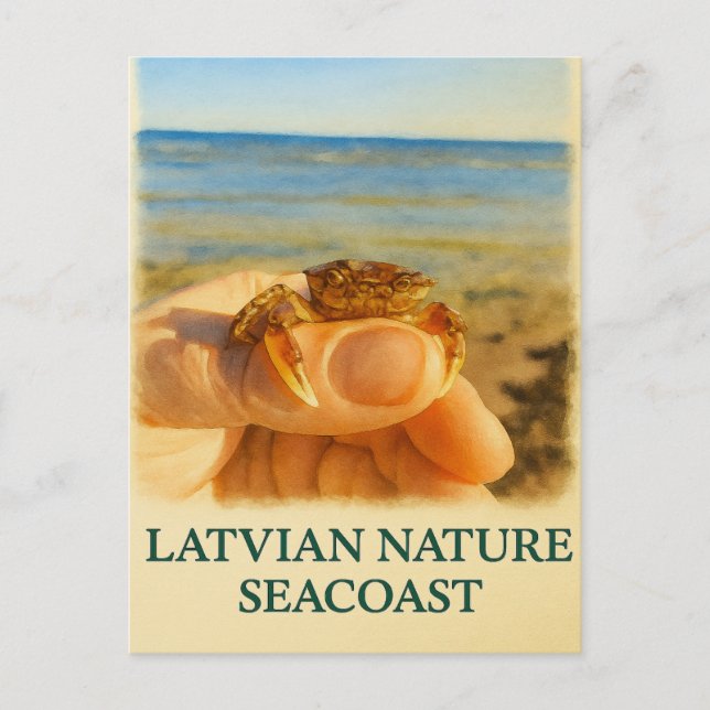 Carte Postale Petit trésor de la mer Baltique (Devant)