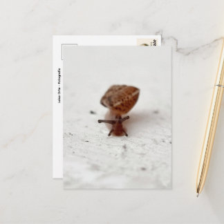 Carte Postale Petit voyage – escargot sur fond clair