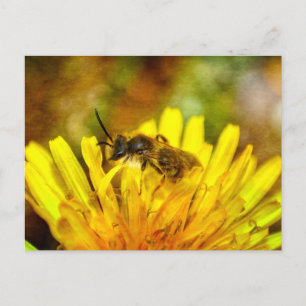 Carte Postale Petite abeille