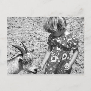 Carte Postale Petite fille qui nourrit une chèvre graines de tou