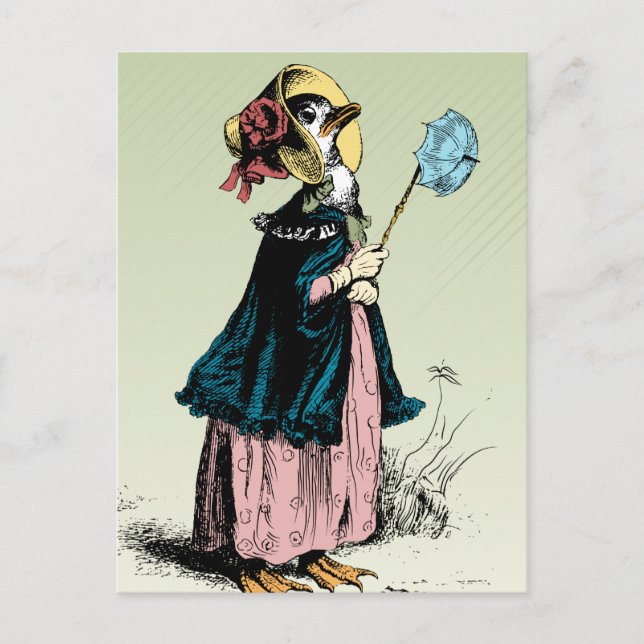 Carte Postale Petite Mme Duck (Devant)