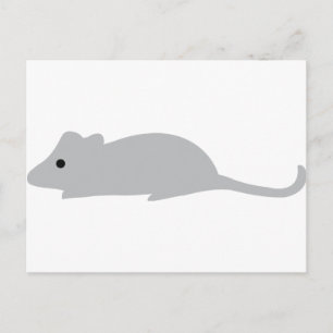Carte Postale petite souris grise