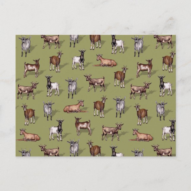 Carte Postale Petites chèvres en vert - Motif de troupeau de chè (Devant)