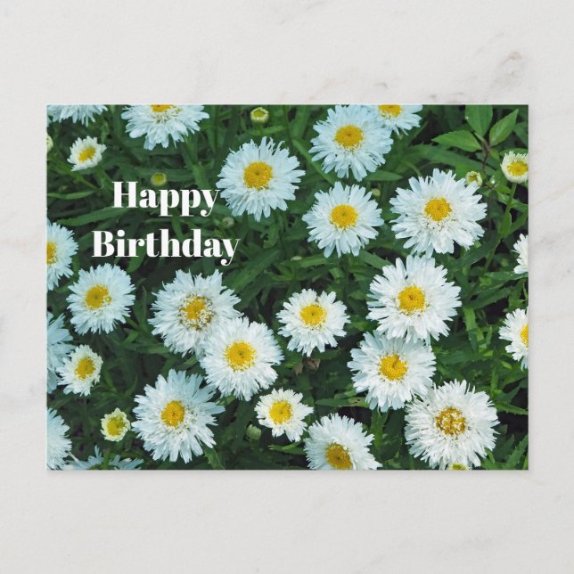 Carte Postale Petites pâquerettes florales photo anniversaire (Devant)