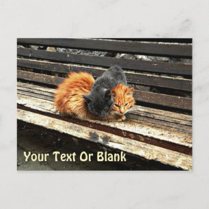 Carte Postale Petits sommes mignons