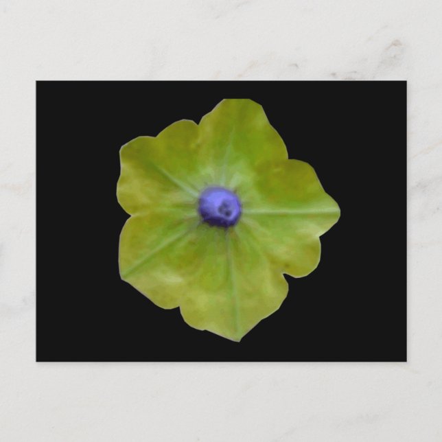 Carte postale Petunia Green et Blue (Devant)
