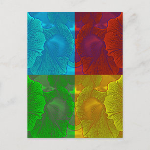 Carte Postale Petunia Pop