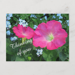 Carte Postale Pétunia rose photo de vous