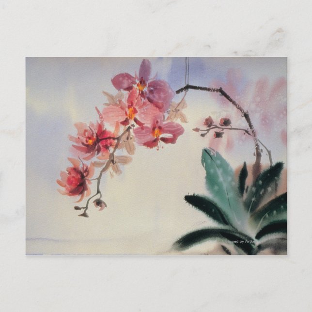 Carte Postale Phalaenopsis (Devant)