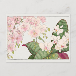 Carte Postale Phalaenopsis par Tanigami Konan