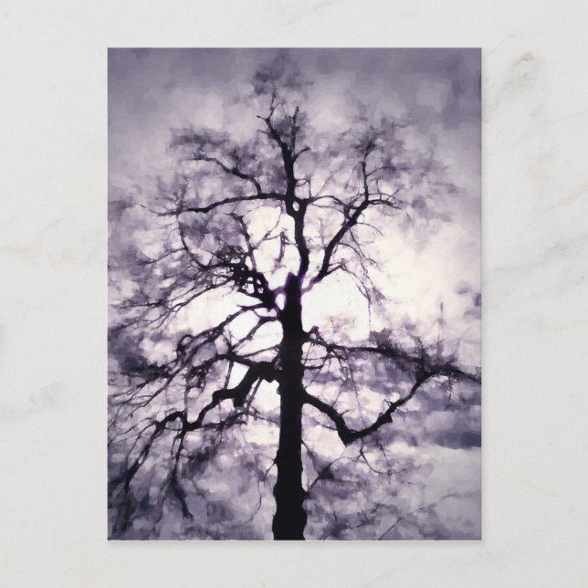 Carte postale Phantastes (Devant)