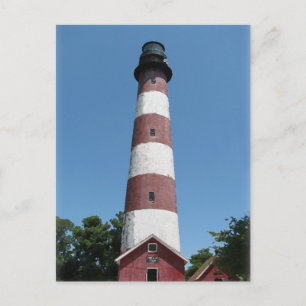 Carte Postale Phare d'Assateague