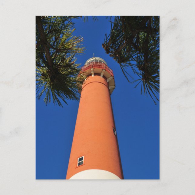 Carte Postale Phare de Barnegat (Devant)