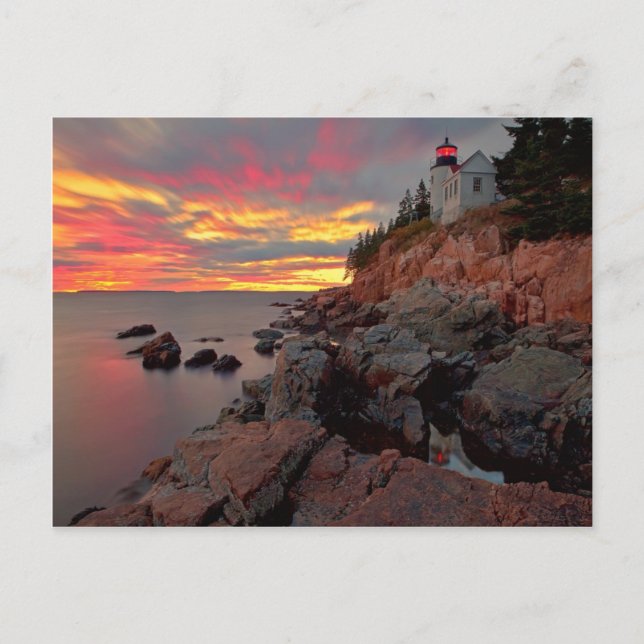 Carte Postale Phare de Bass Harbour Head (Devant)