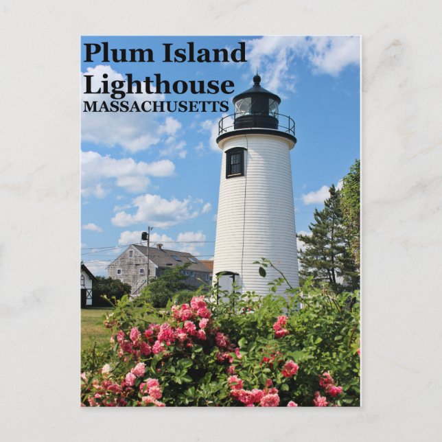 Carte Postale Phare de Plum Island, Massachusetts (Devant)