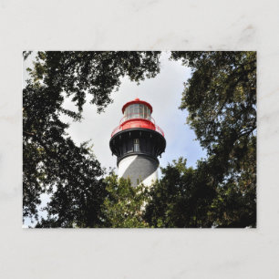 Carte Postale Phare de St. Augustine encadré par des chênes