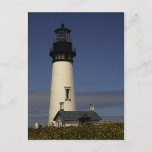 Carte Postale Phare de Yaquina Head - NOUVEAU