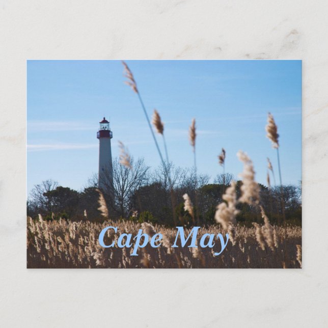 Carte Postale Phare du cap May (Devant)
