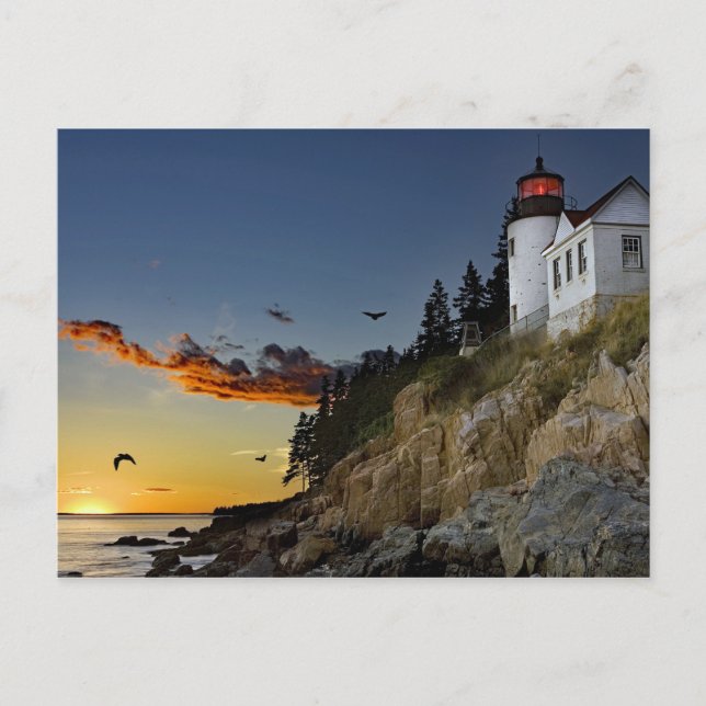 Carte Postale Phare du Maine Bass Harbour Photo (Devant)