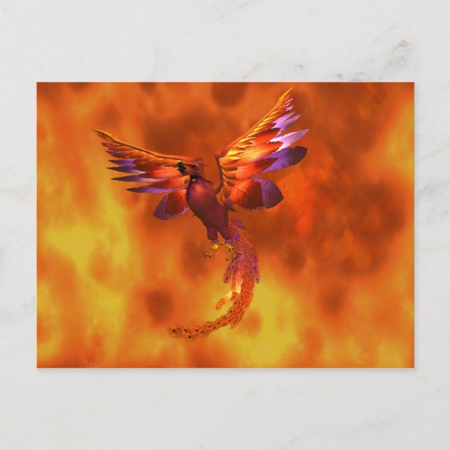Carte Postale Phoenix (Devant)