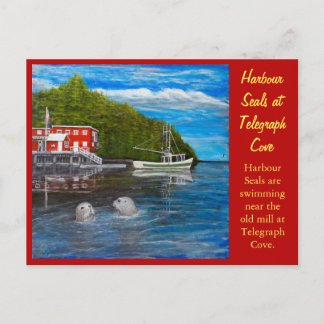 Carte Postale Phoques à Telegraph Cove, C.-B. Canada.