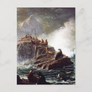 Carte Postale Phoques sur les Rochers, Îles Fallon - Bierstadt