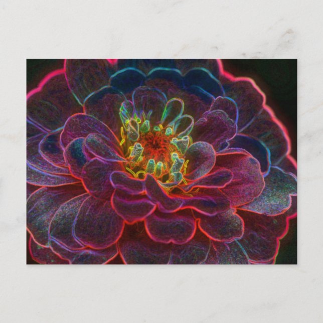 Carte postale photo Art numérique Zinnia (Devant)