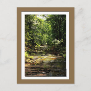 Carte postale photo Beavers Bend State Park