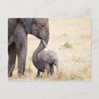 Photo bébé de l'éléphant de l'amour maternel