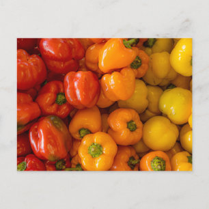 Carte postale photo Bell Peppers