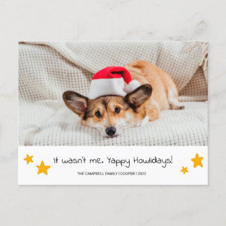 Carte postale Photo Chien de Noël