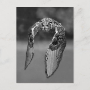 Carte postale photo classique