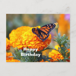 Carte Postale Photo d'anniversaire de souci papillon monarque